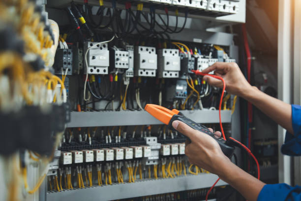 Best Electric Panel Repair  in Brooklet, GA